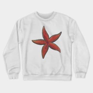 Common Sea Star Lg Crewneck Sweatshirt